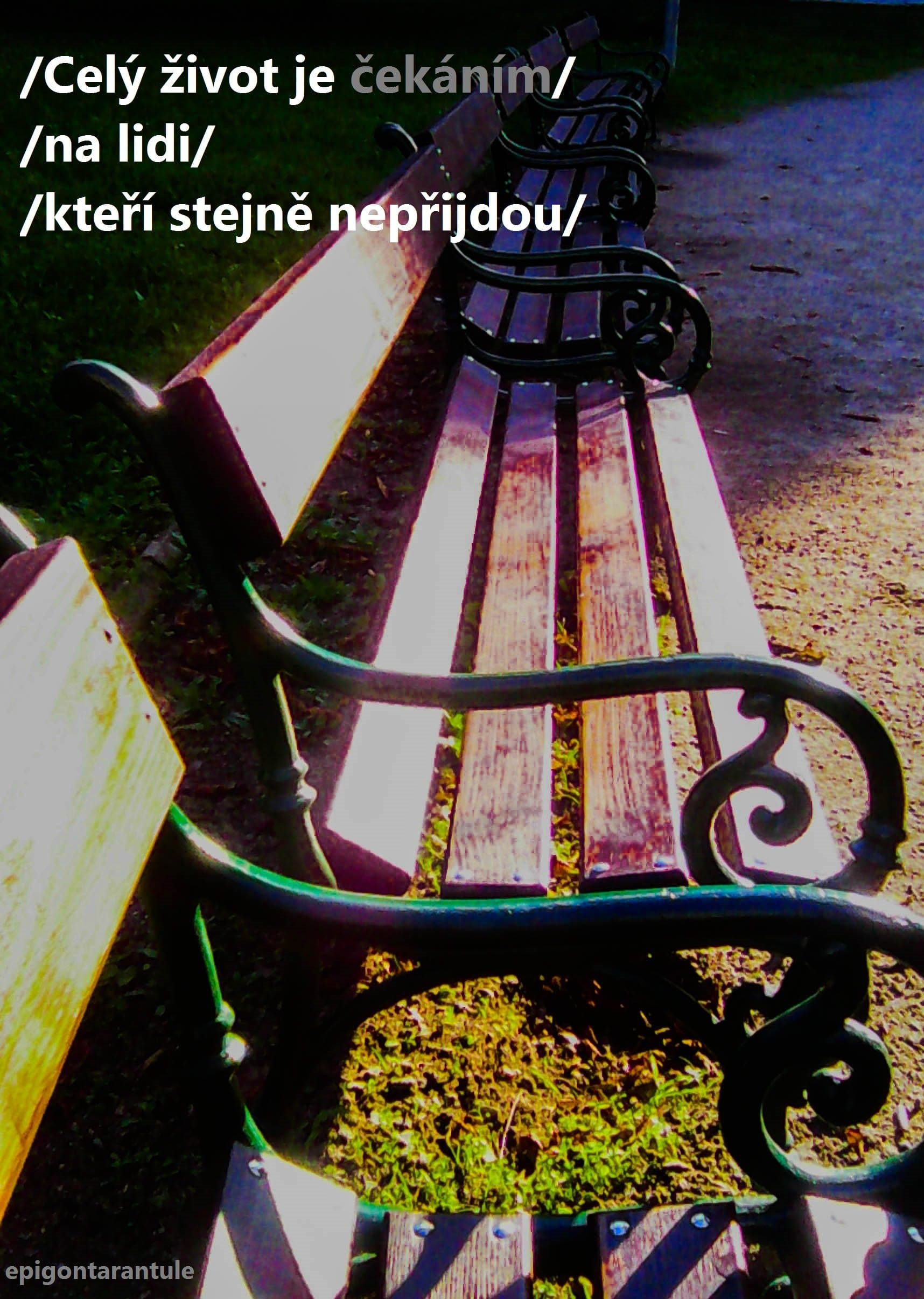 Čekání