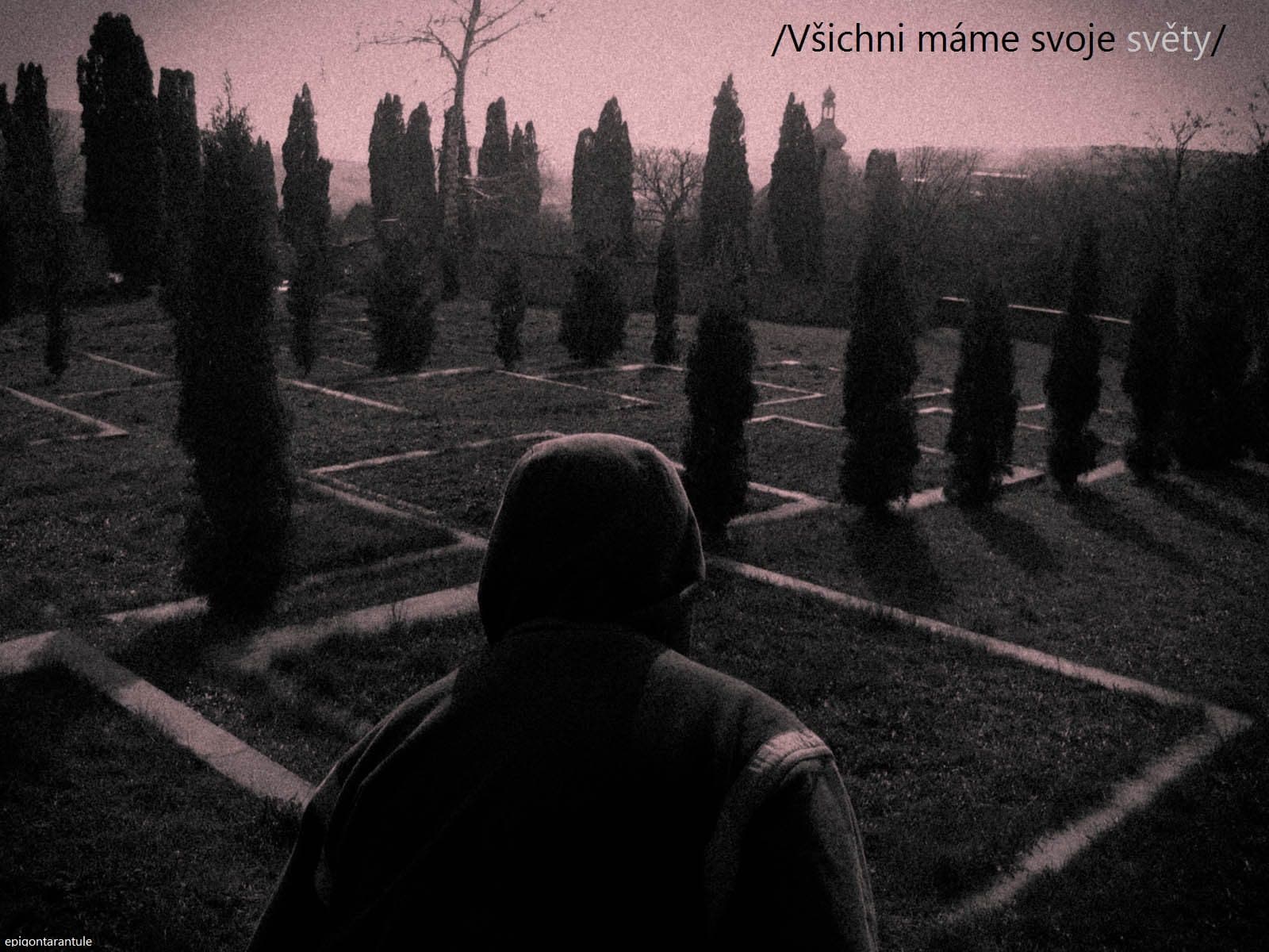 Světy