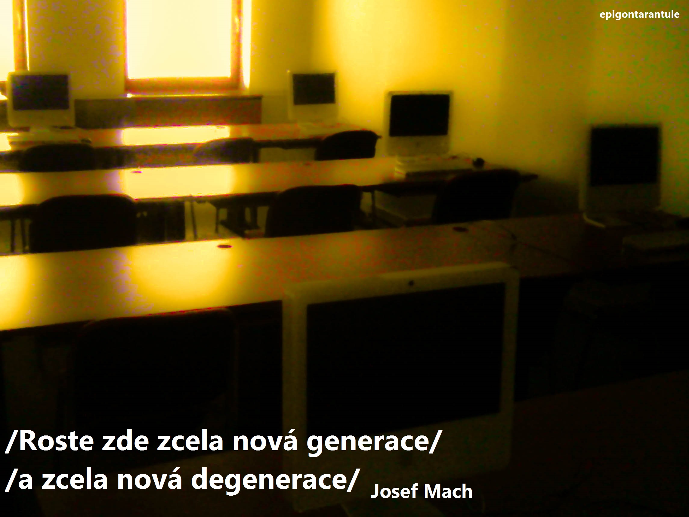 Generace a degenerace